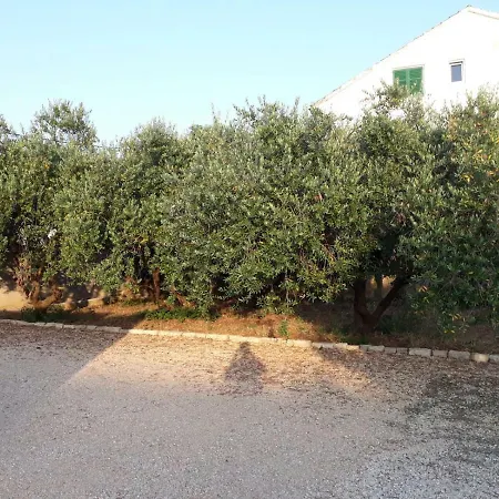 Casa Rustica Biograd Biograd na Moru